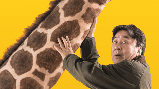 이미지