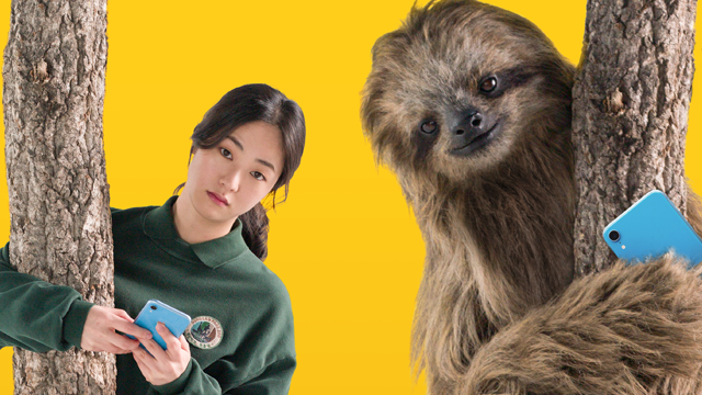 이미지